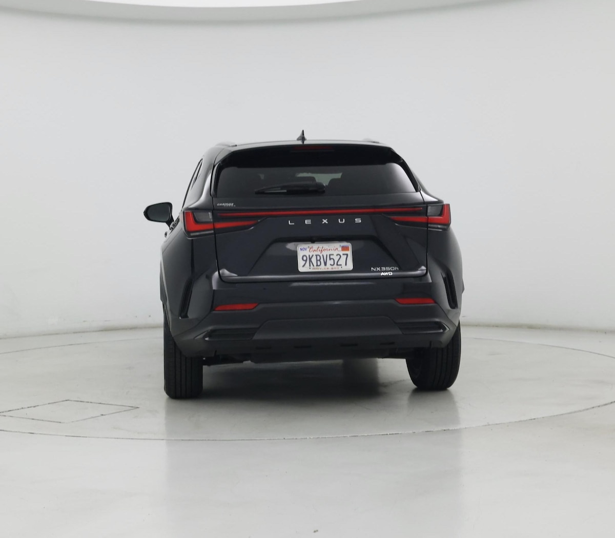 Rear