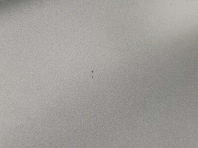 Condition detail