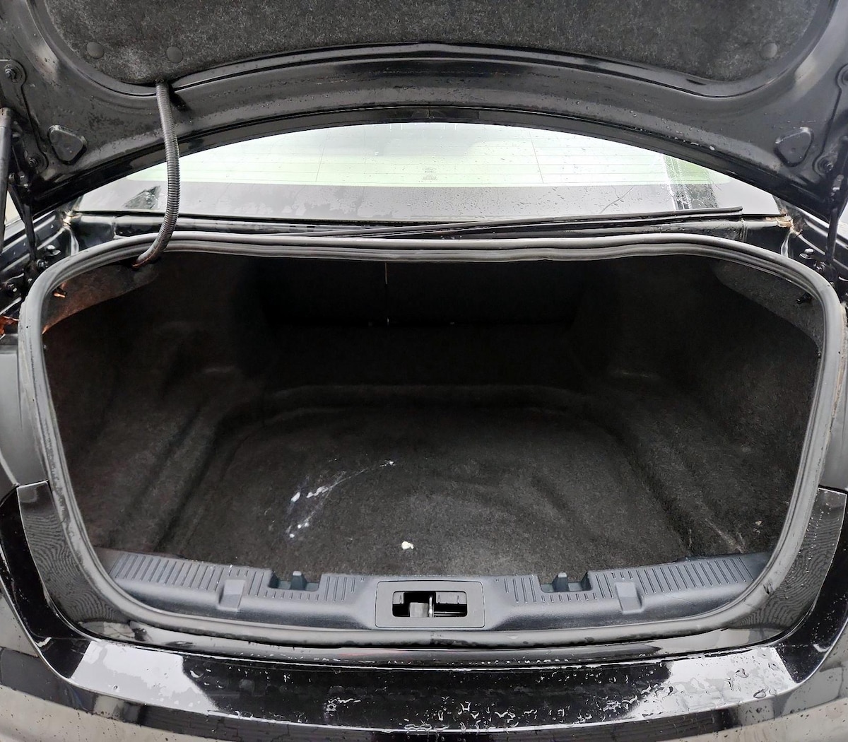 Trunk/Cargo (Seats Up)