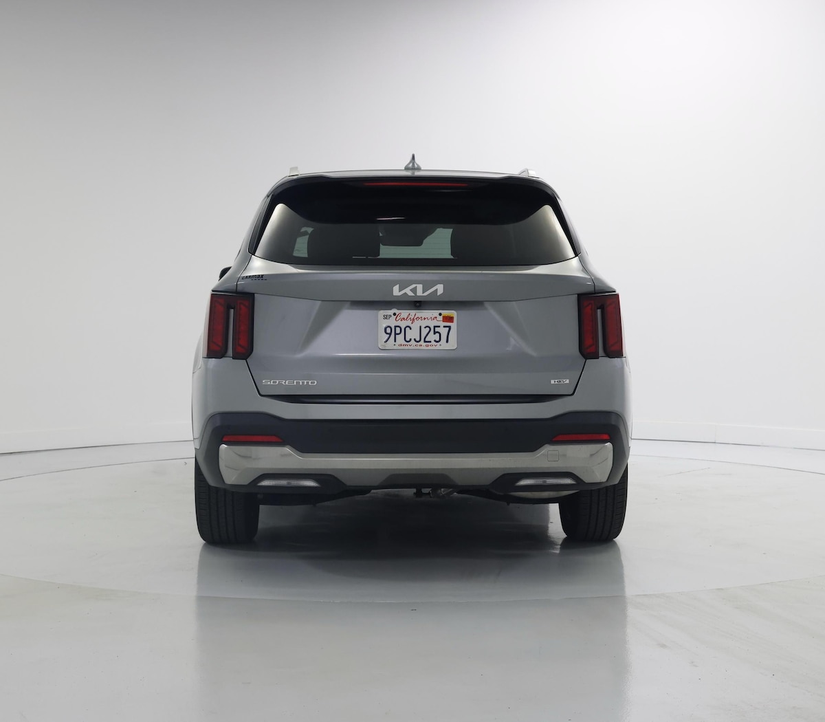 Rear