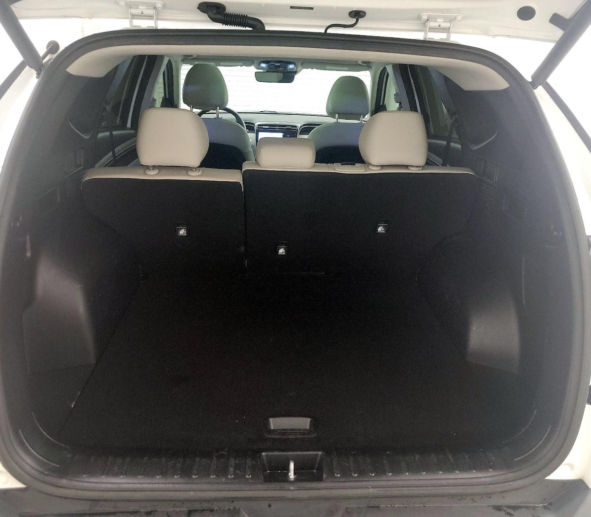 Trunk/Cargo (Seats Up)
