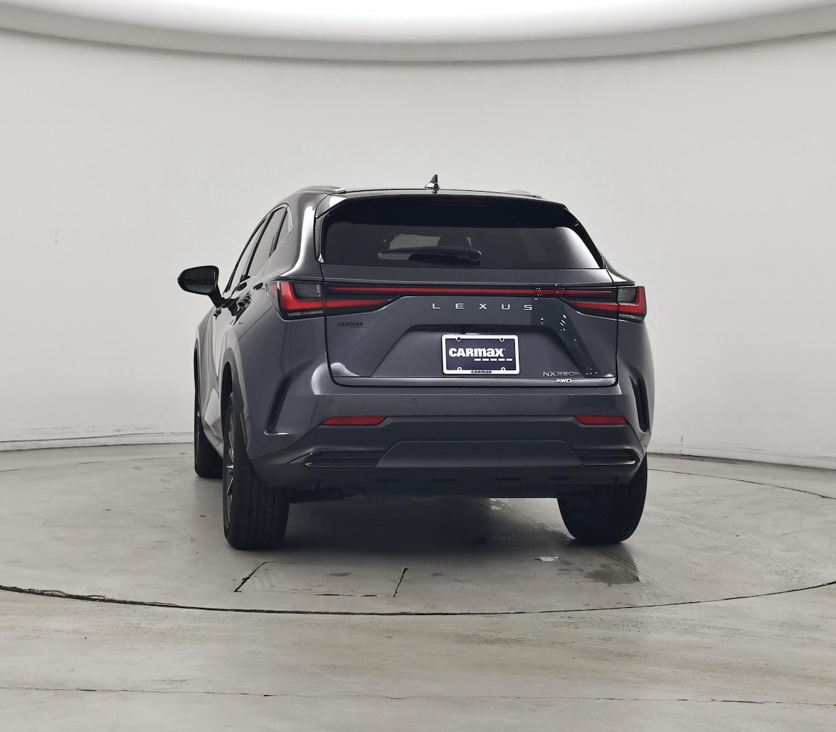 Rear