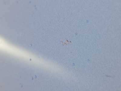 Condition detail