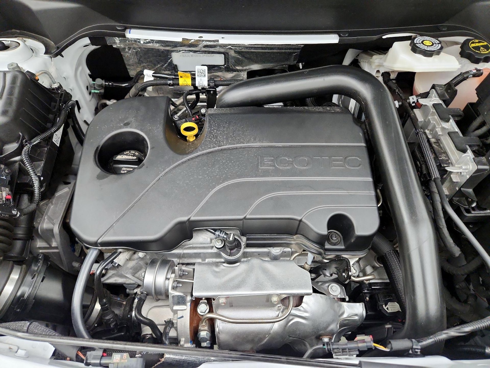 2026 GMC Terrain Elevation - Photo 19
