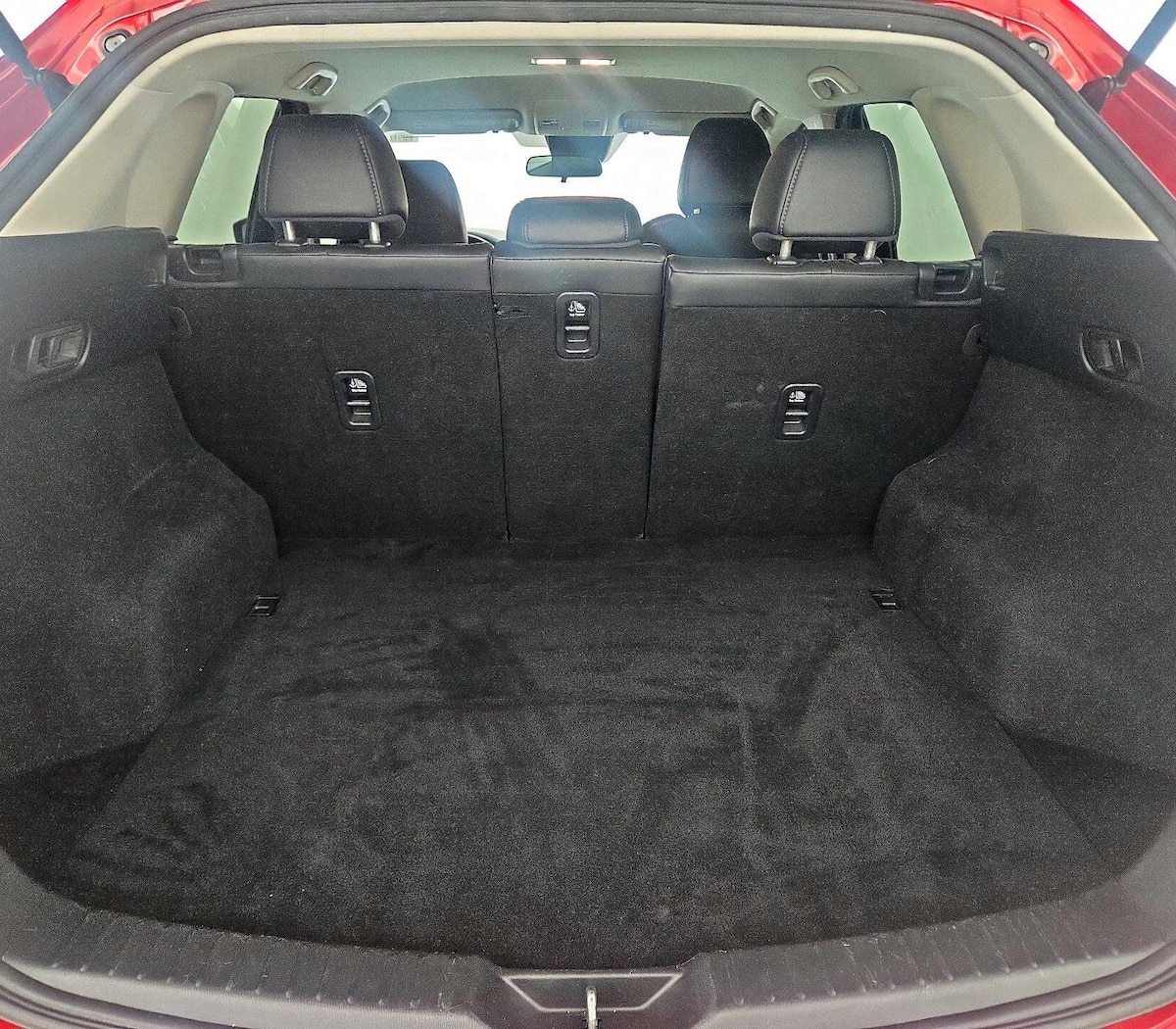 Trunk/Cargo (Seats Up)