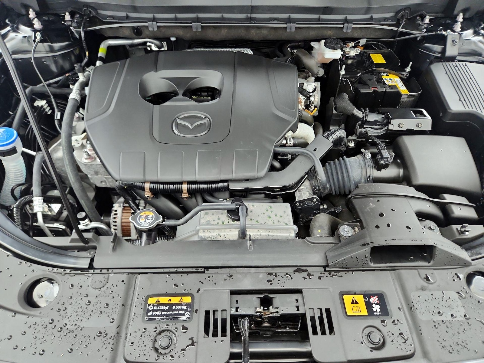 2025 Mazda CX-5 S Preferred package - Photo 22