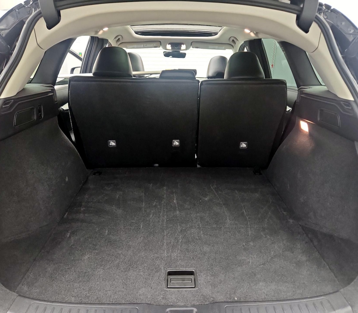 Trunk/Cargo (Seats Up)
