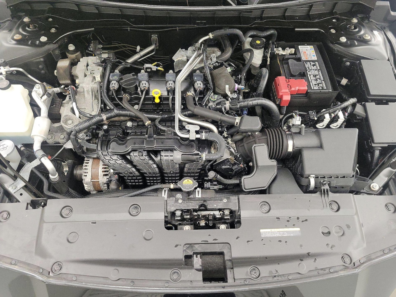 Photo 25