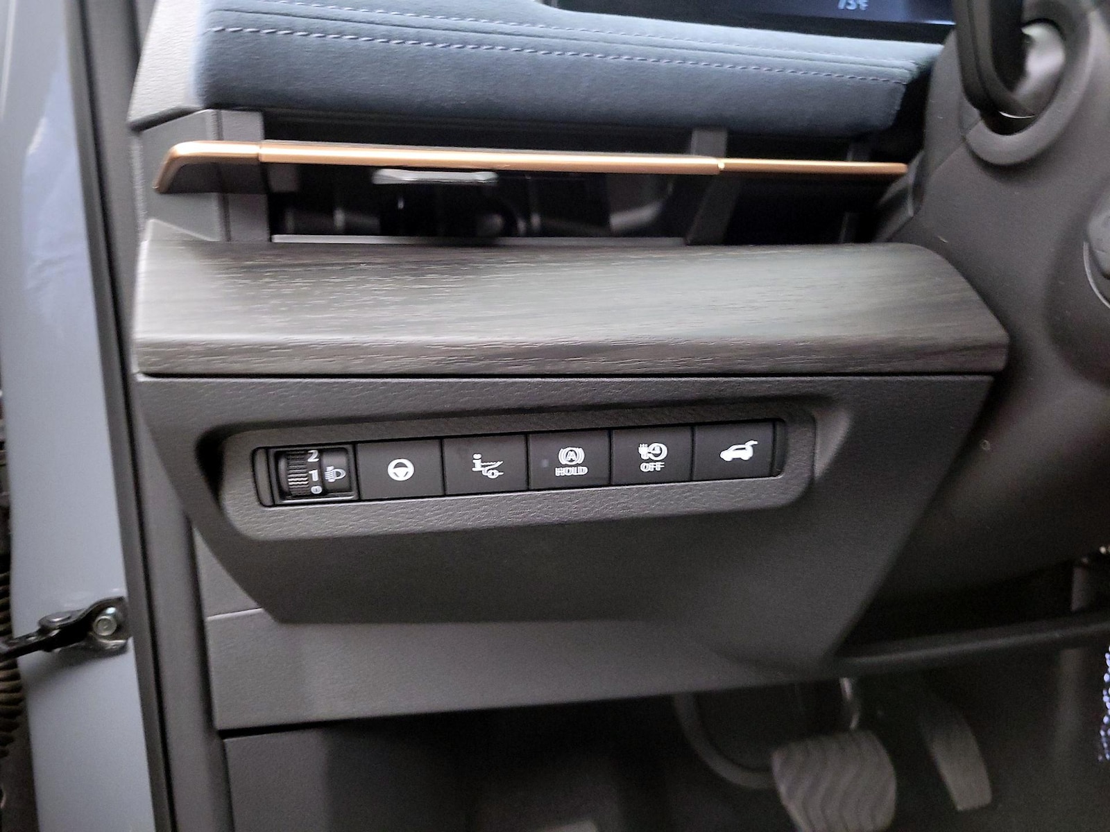 2023 Nissan Ariya Platinum+ - Photo 14