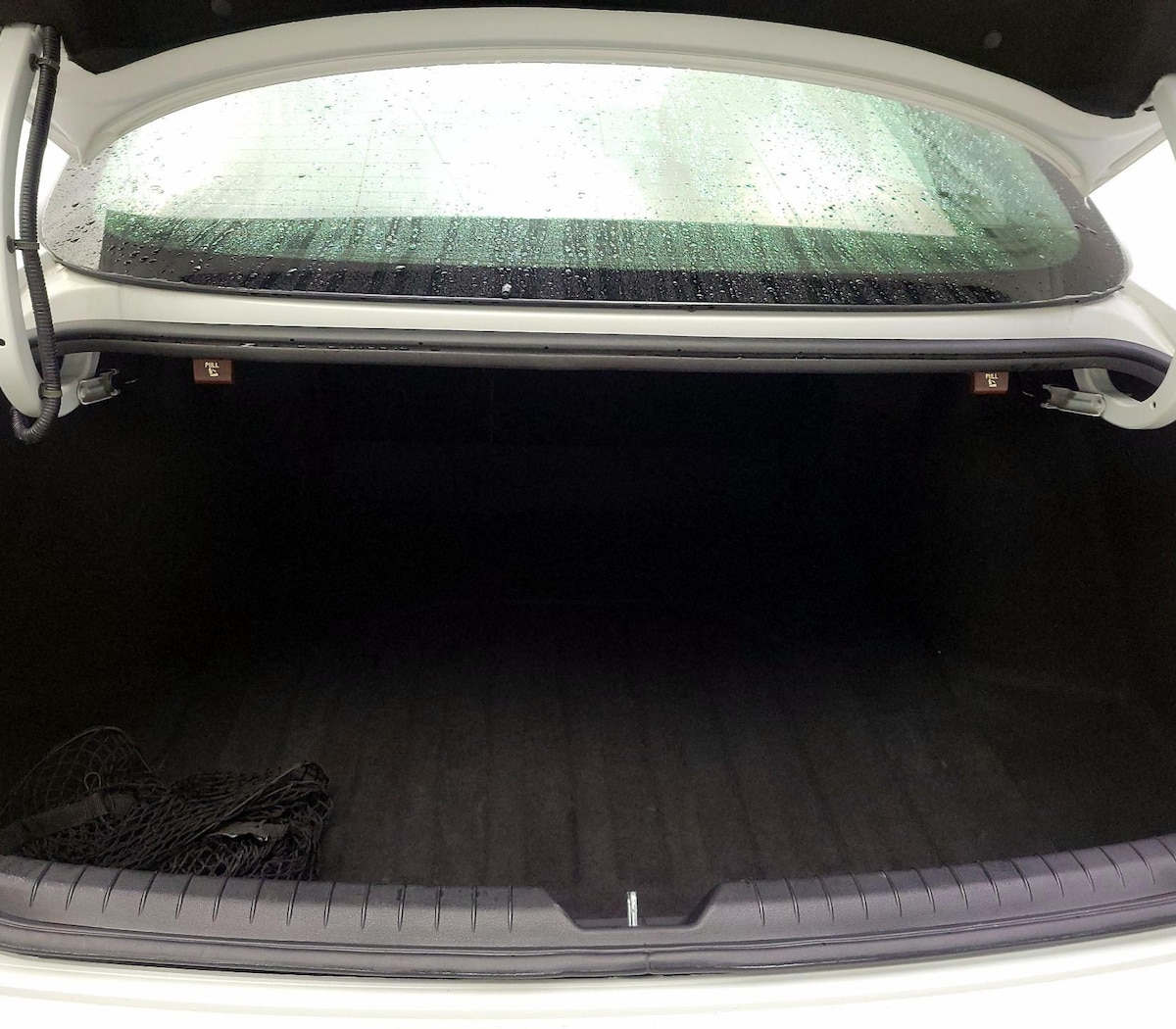 Trunk/Cargo (Seats Up)