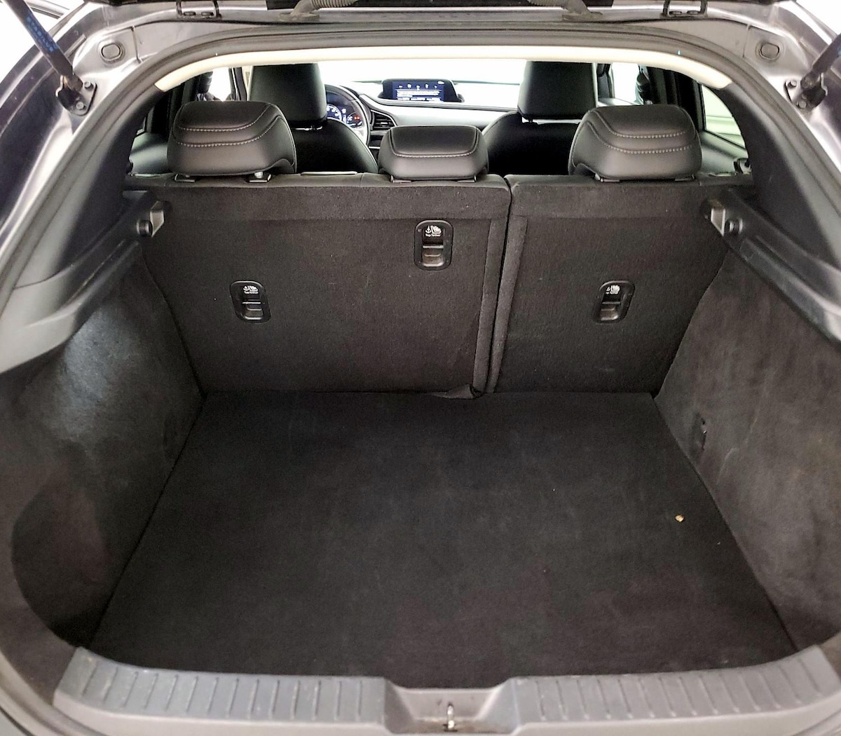 Trunk/Cargo (Seats Up)