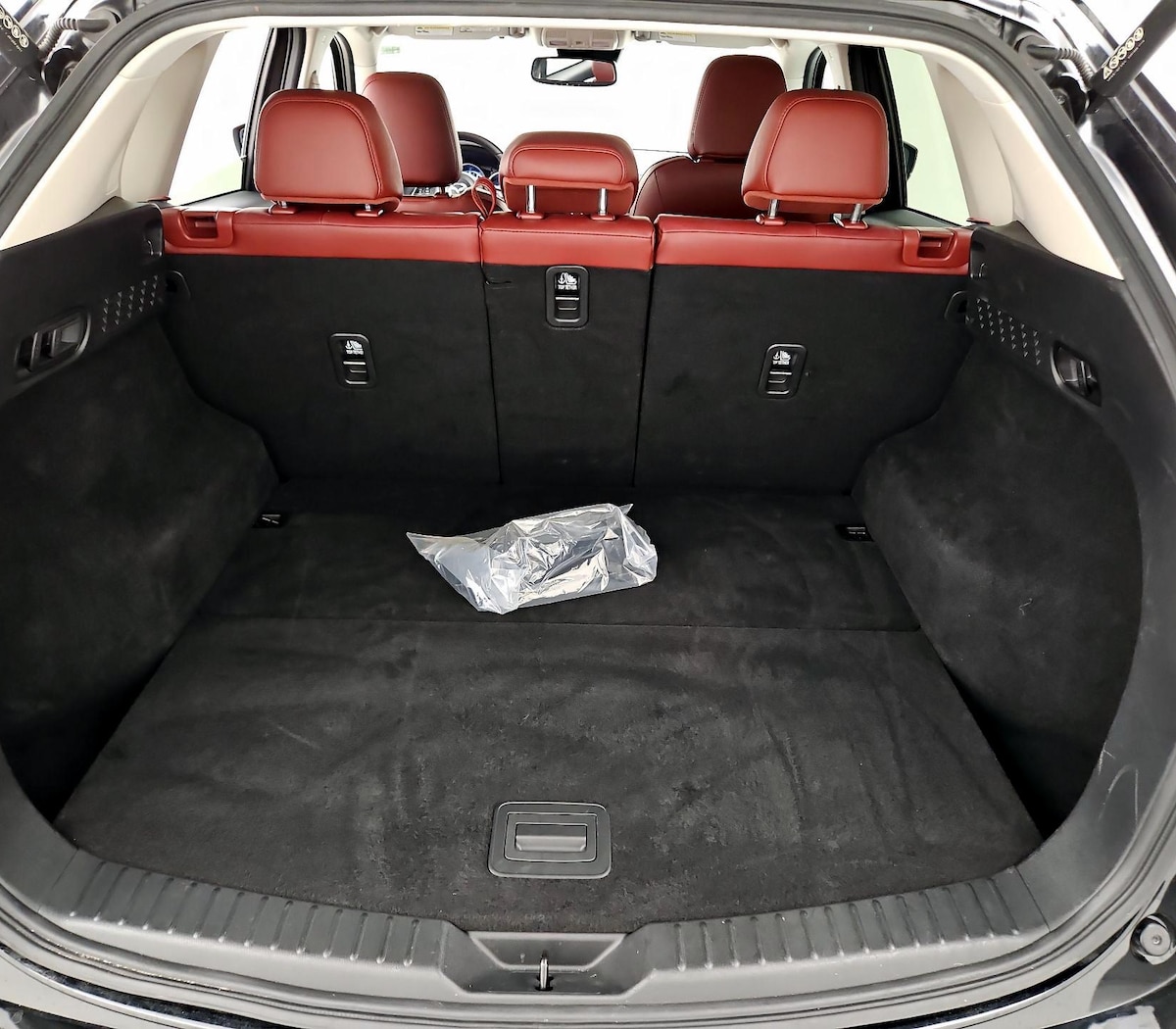 Trunk/Cargo (Seats Up)