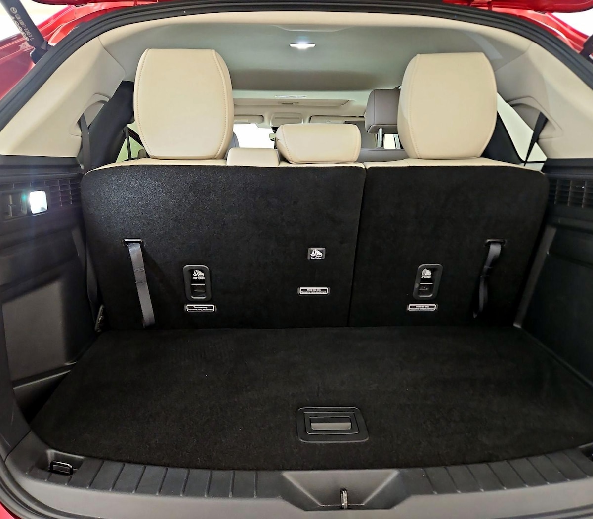 Trunk/Cargo (Seats Up)