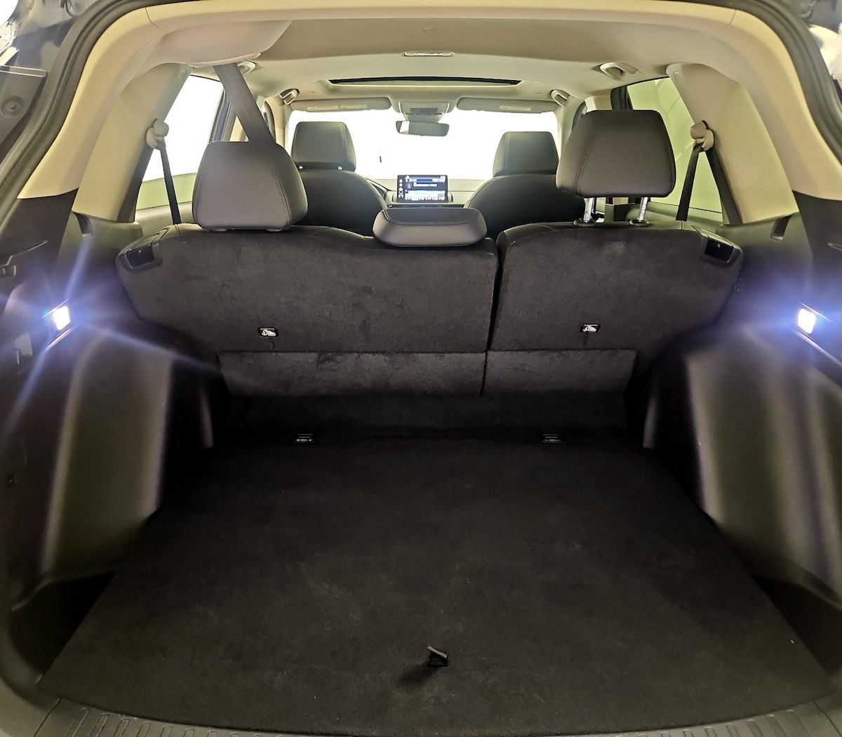 Trunk/Cargo (Seats Up)