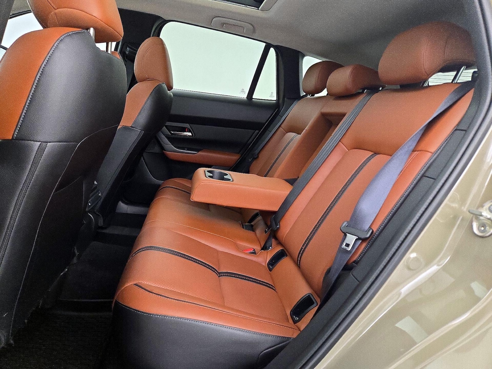 Rear Seat Heaters