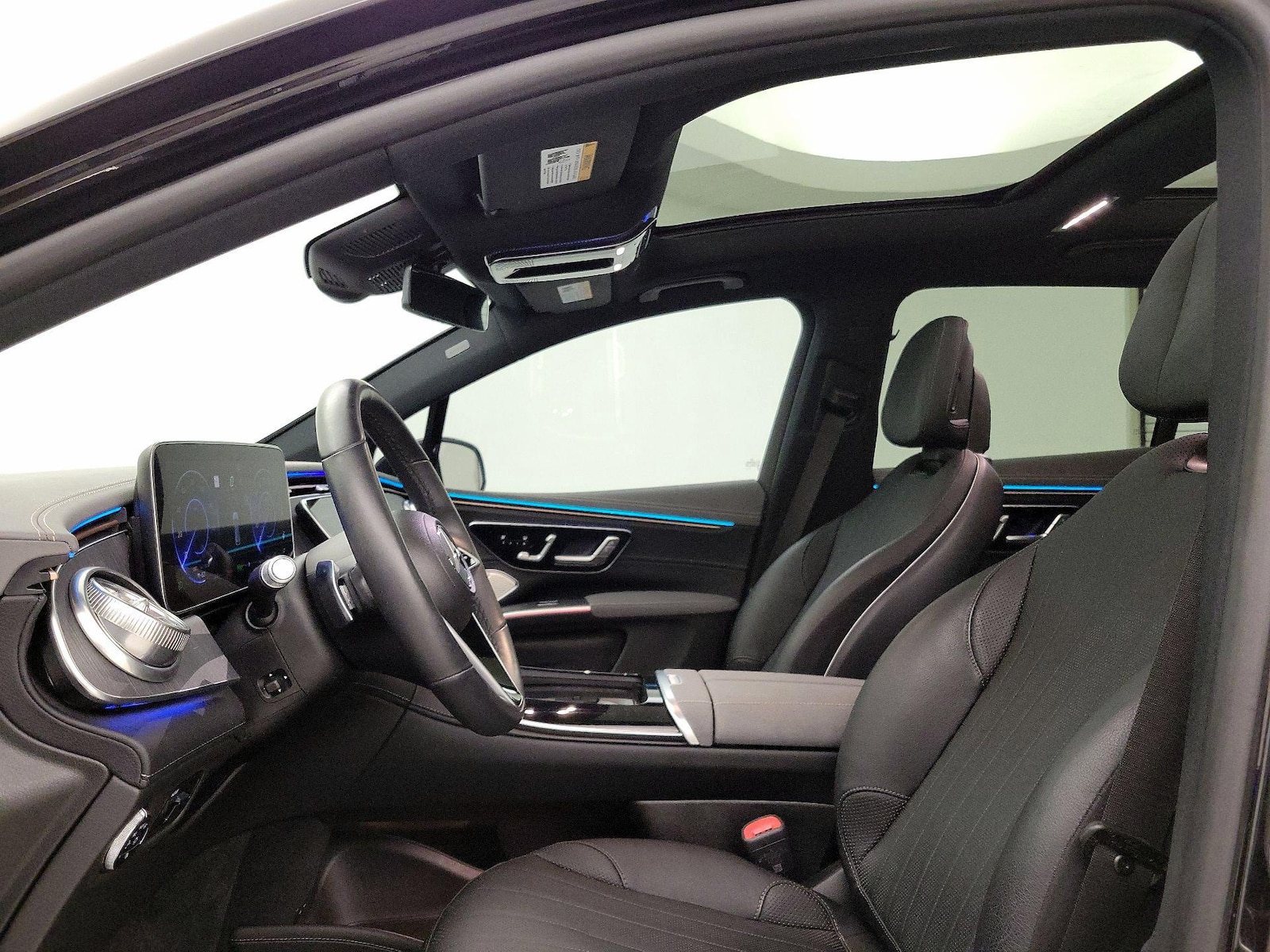 Panoramic Sunroof & Skylight(s)