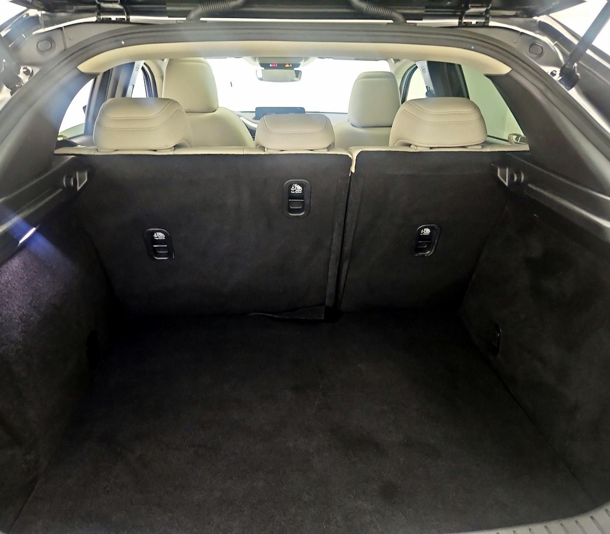 Trunk/Cargo (Seats Up)