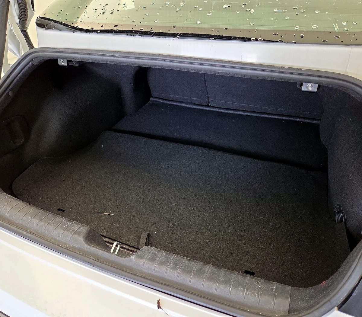 Trunk/Cargo (Seats Up)