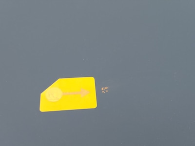 Condition detail