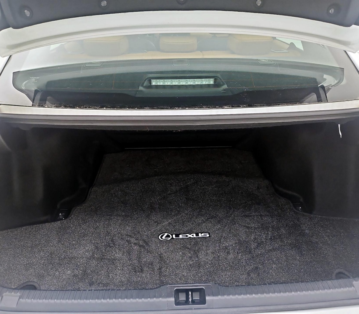 Trunk/Cargo (Seats Up)