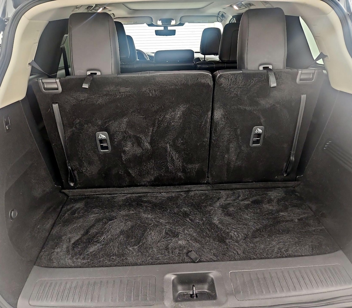 Trunk/Cargo (Seats Up)