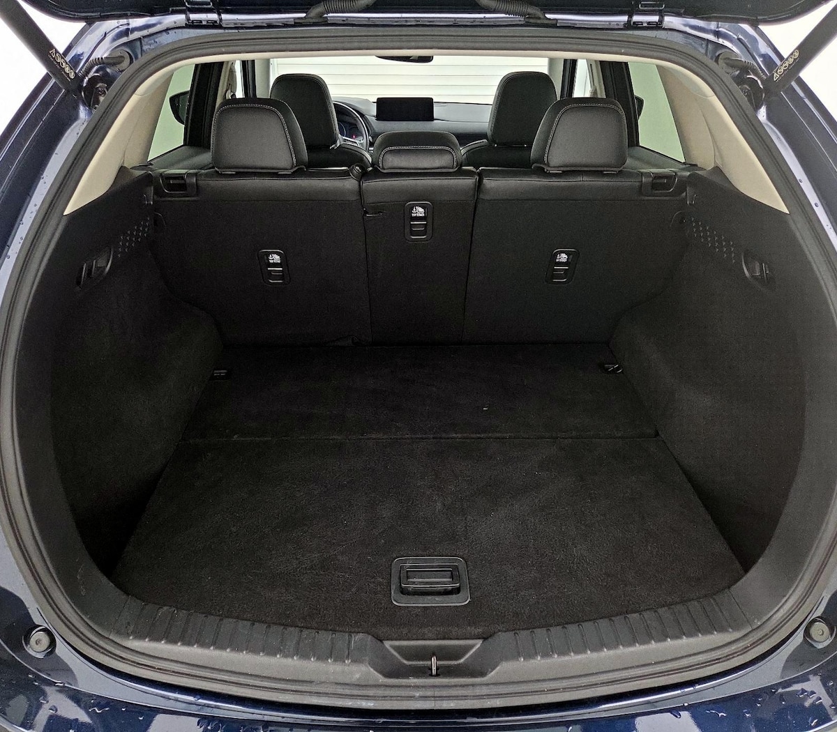 Trunk/Cargo (Seats Up)