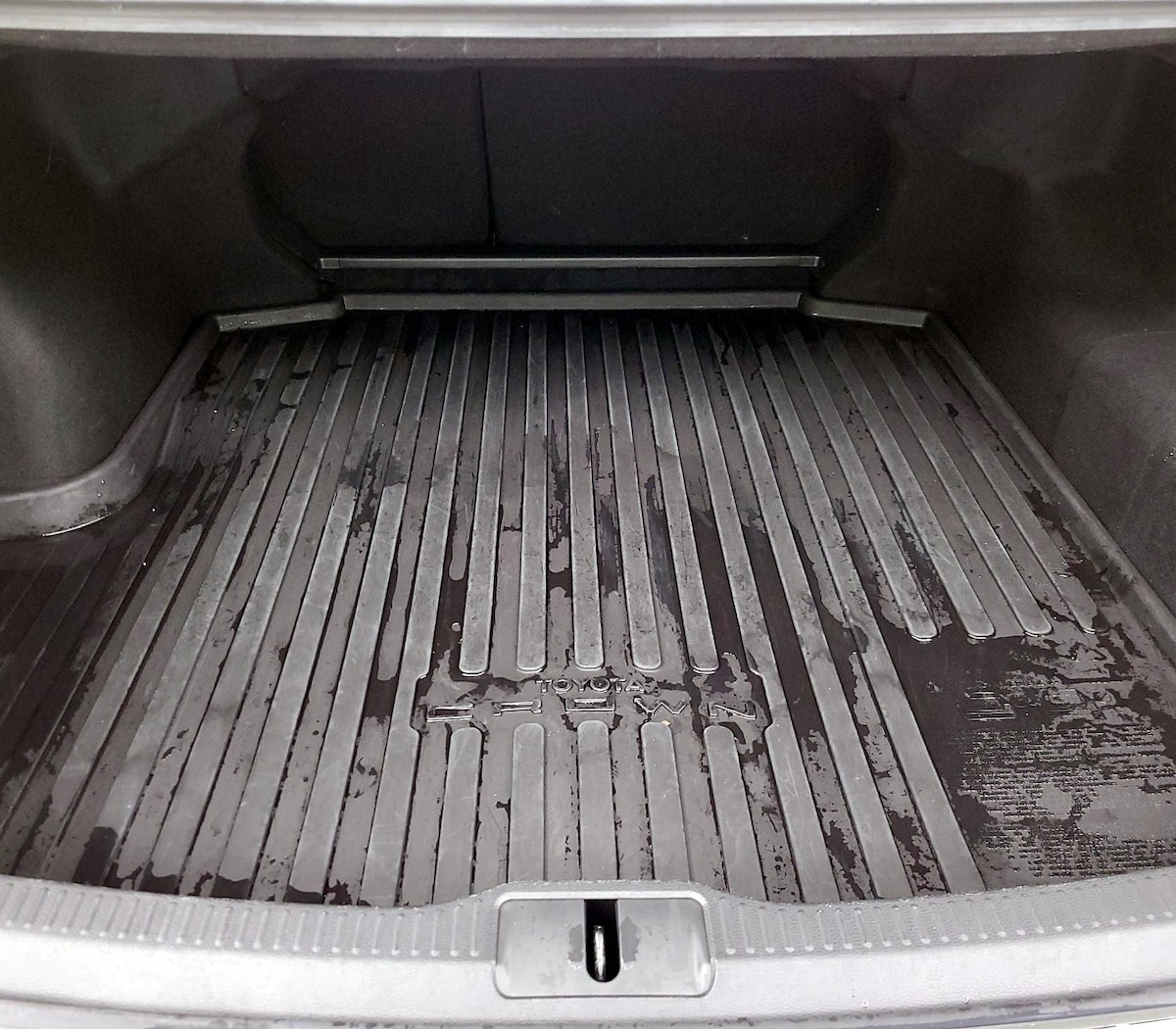 Trunk/Cargo (Seats Up)