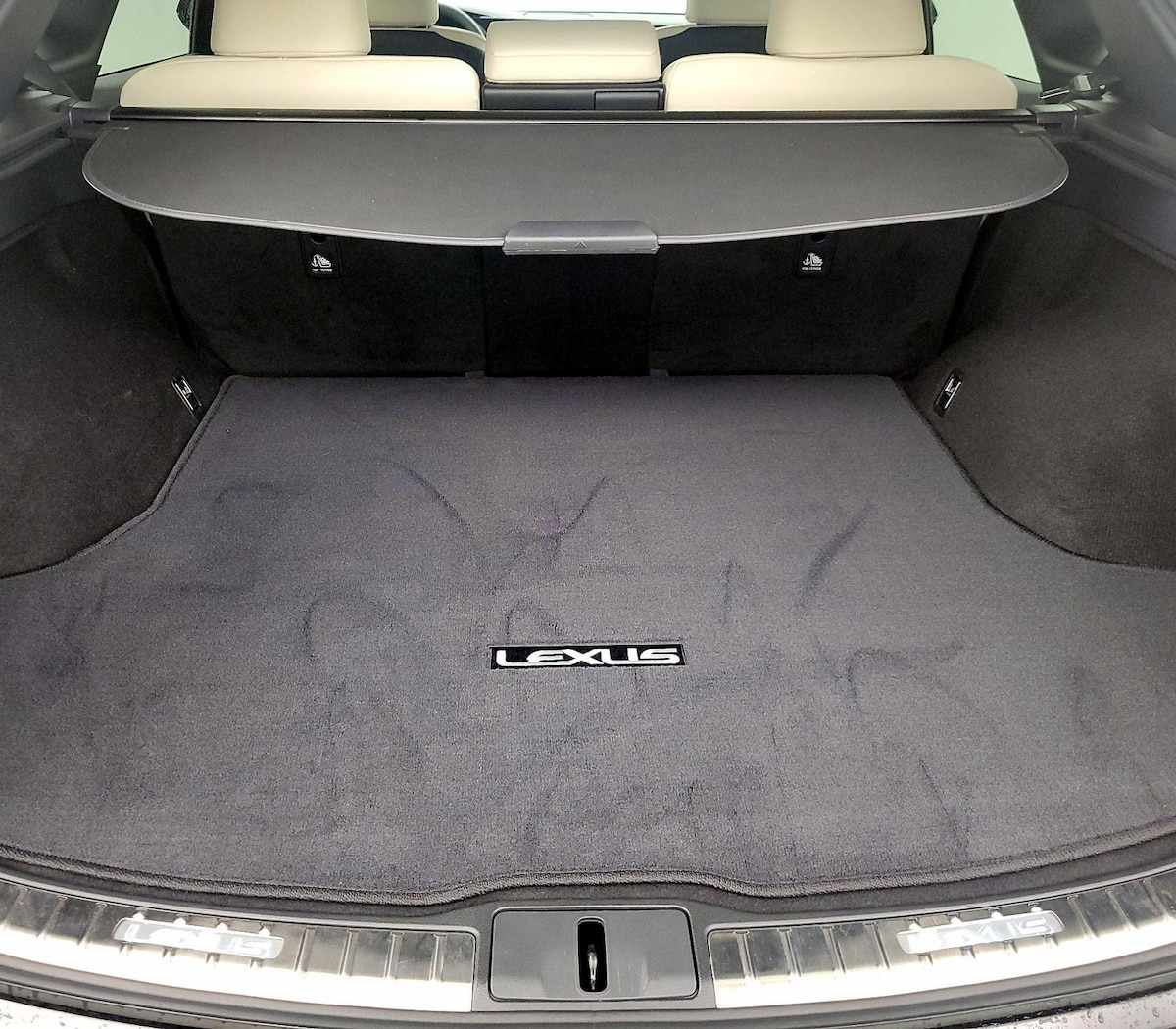 Trunk/Cargo (Seats Up)