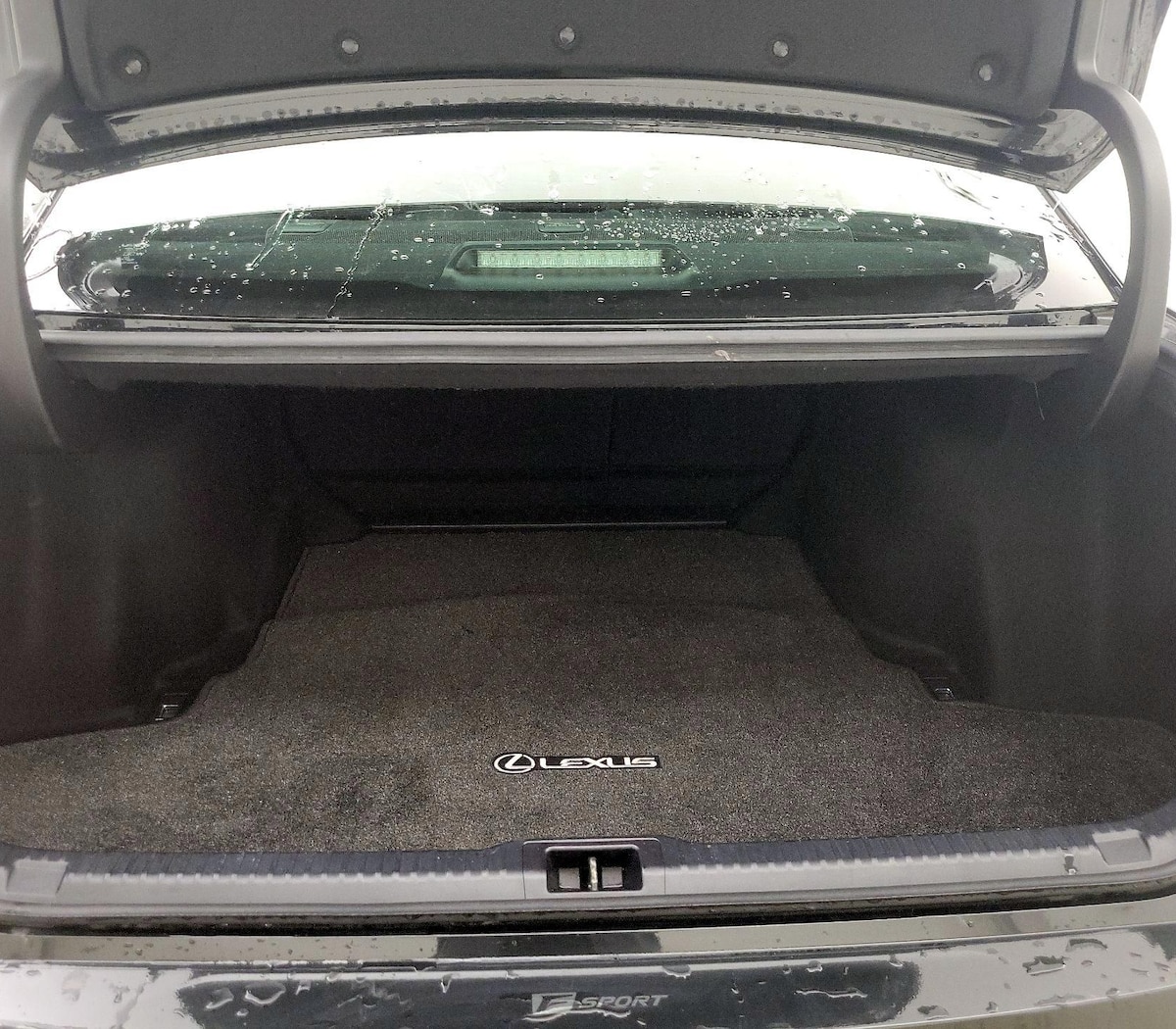 Trunk/Cargo (Seats Up)