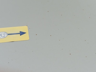 Condition detail