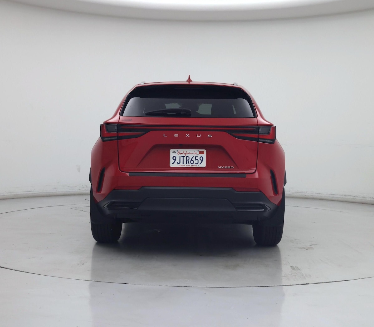 Rear