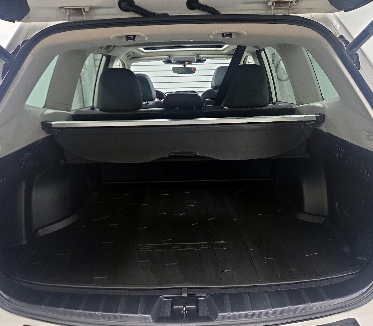 Trunk/Cargo (Seats Up)