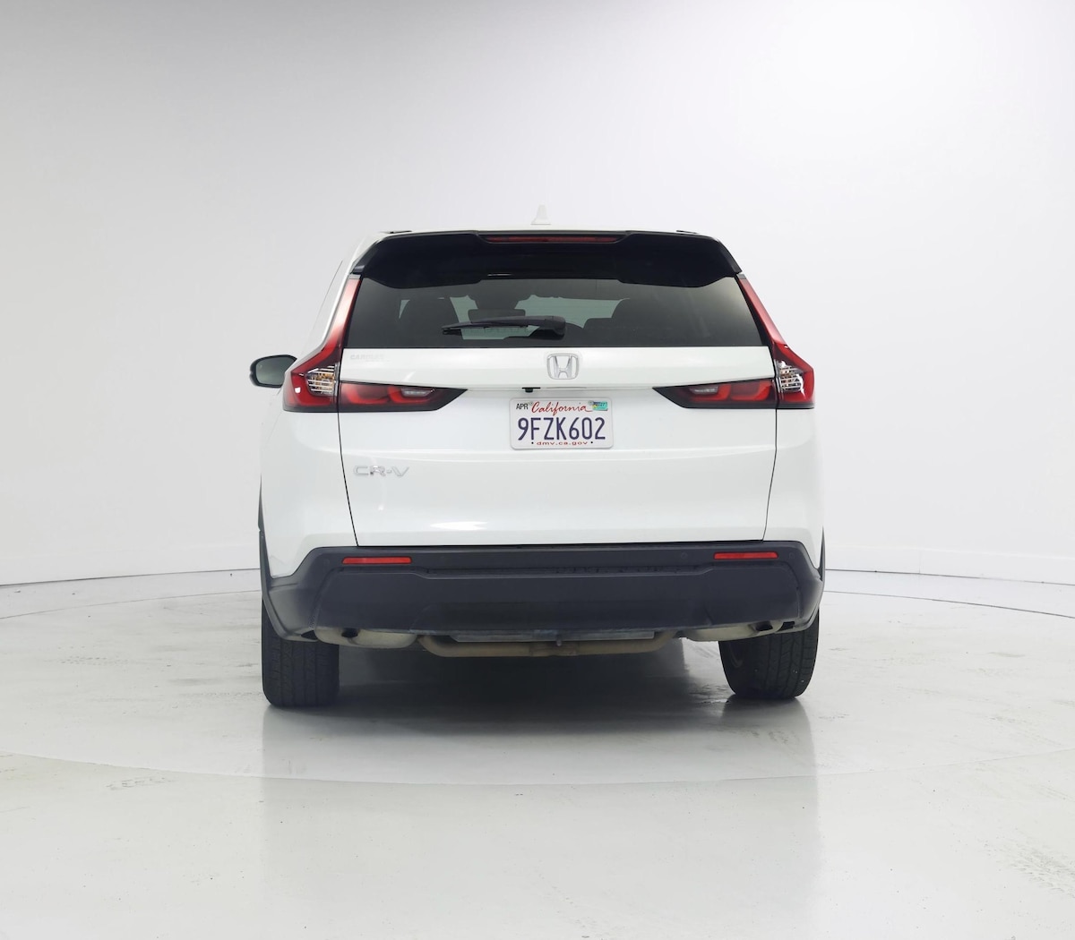 Rear