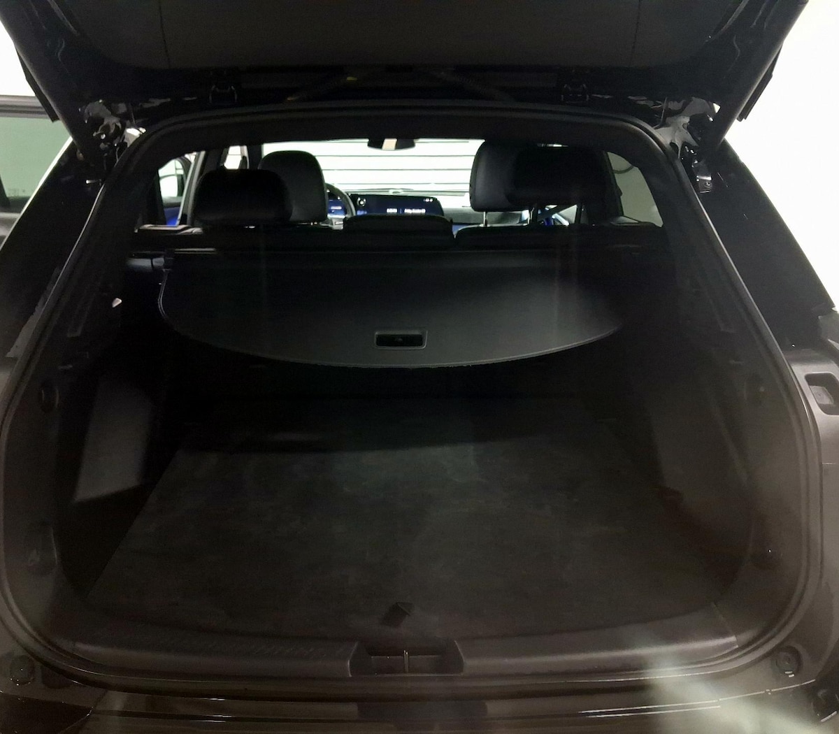 Trunk/Cargo (Seats Up)