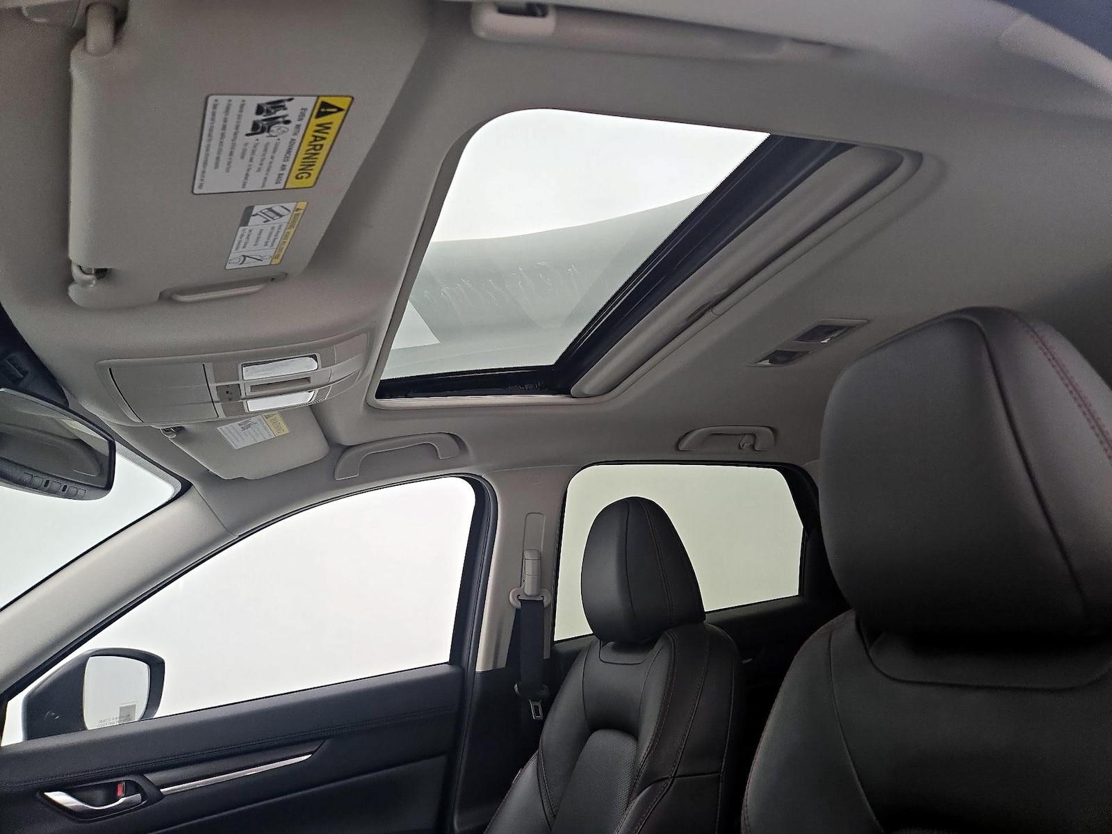 Overhead Airbags