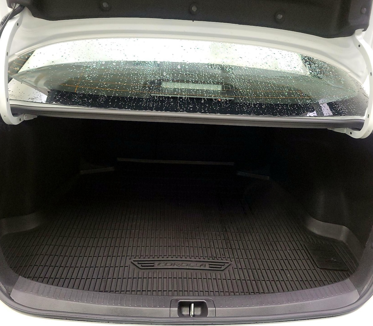 Trunk/Cargo (Seats Up)