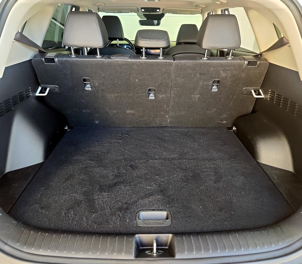 Trunk/Cargo (Seats Up)