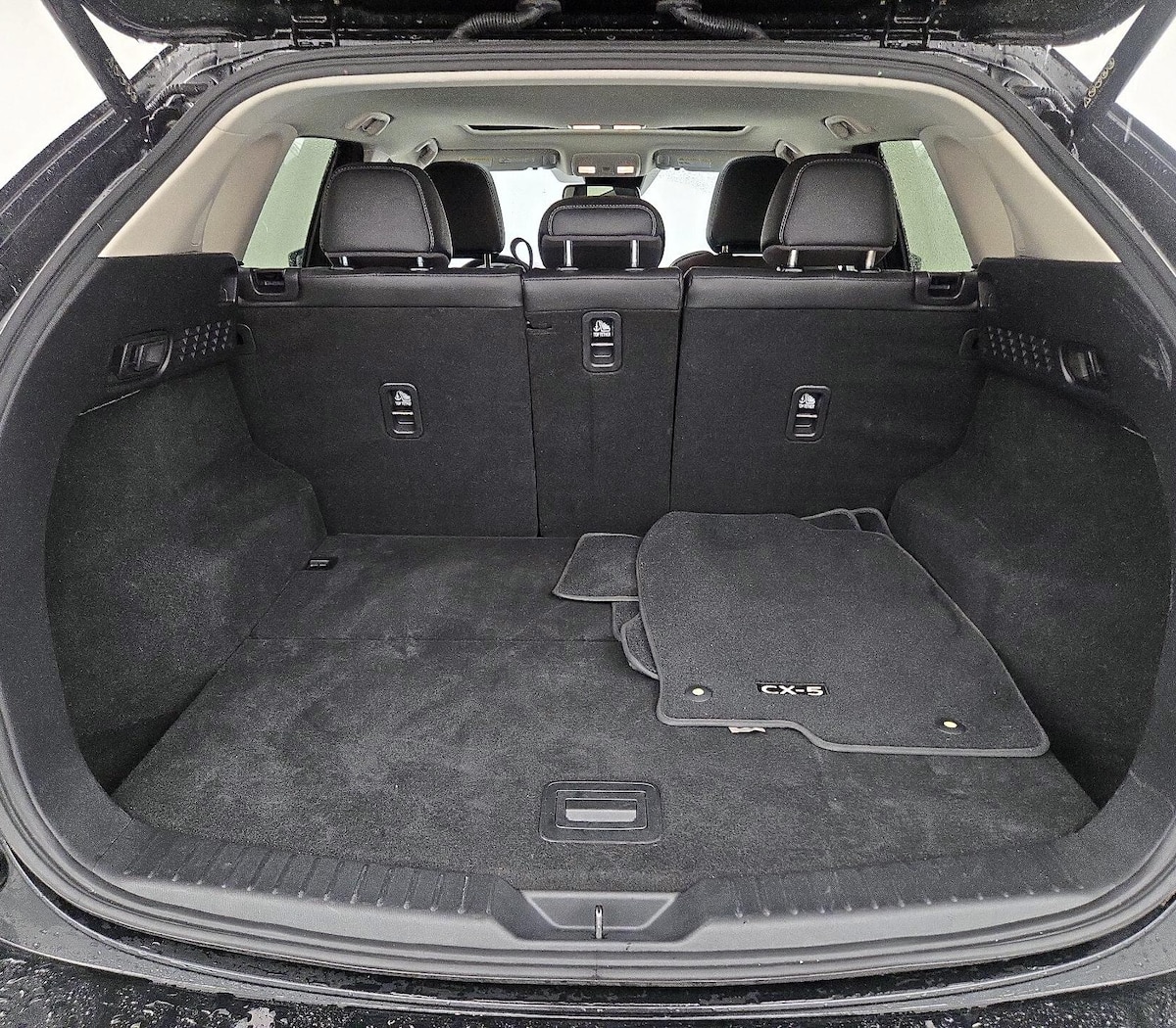 Trunk/Cargo (Seats Up)