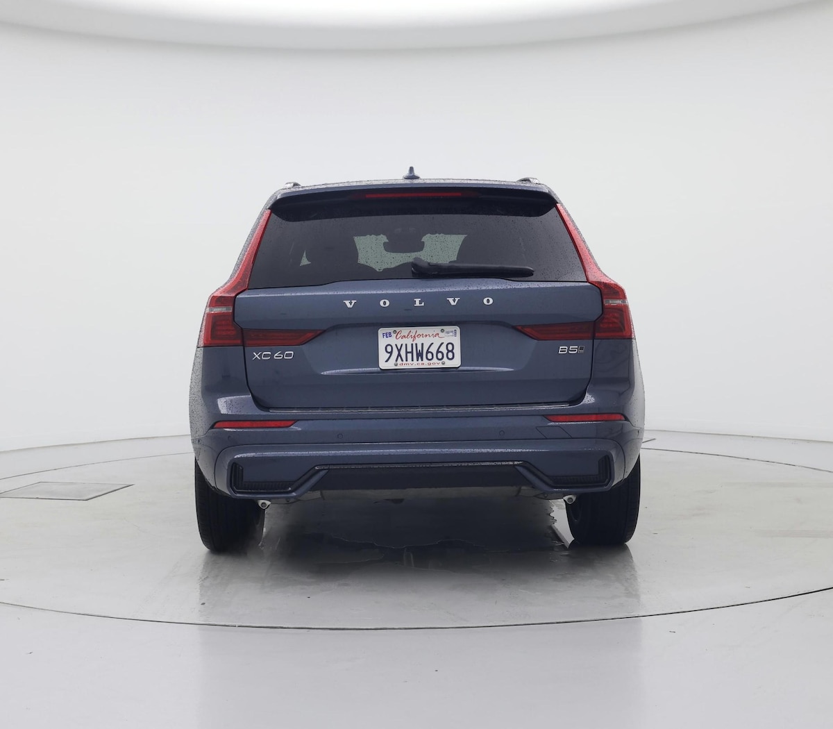 Rear