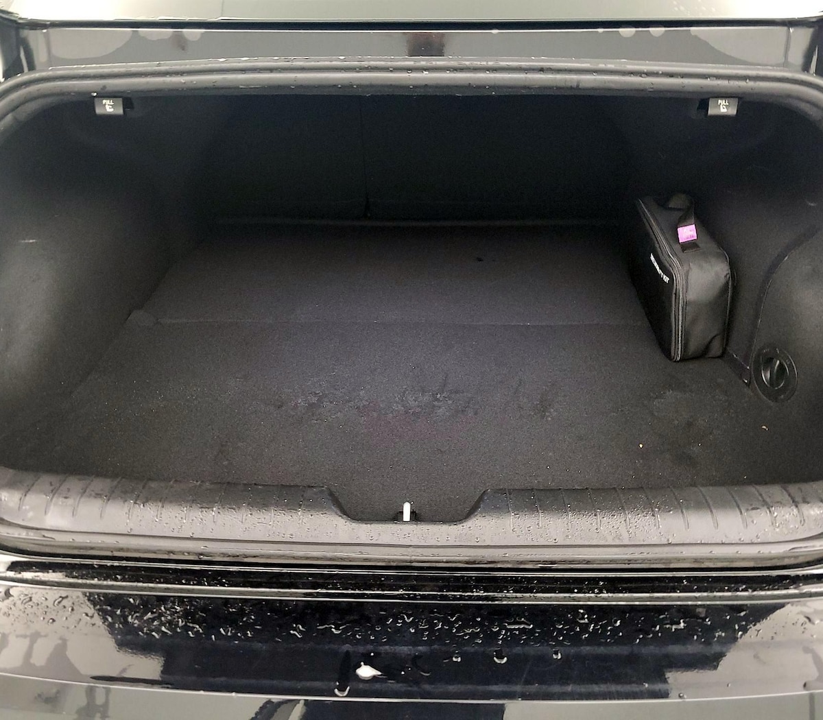 Trunk/Cargo (Seats Up)