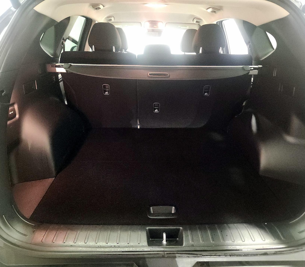 Trunk/Cargo (Seats Up)