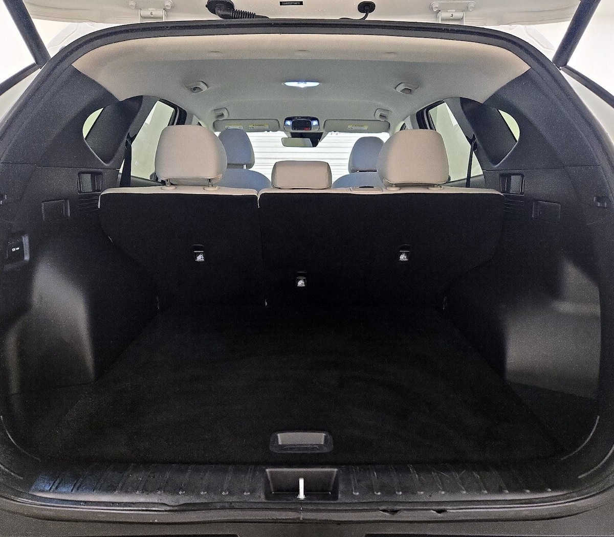 Trunk/Cargo (Seats Up)