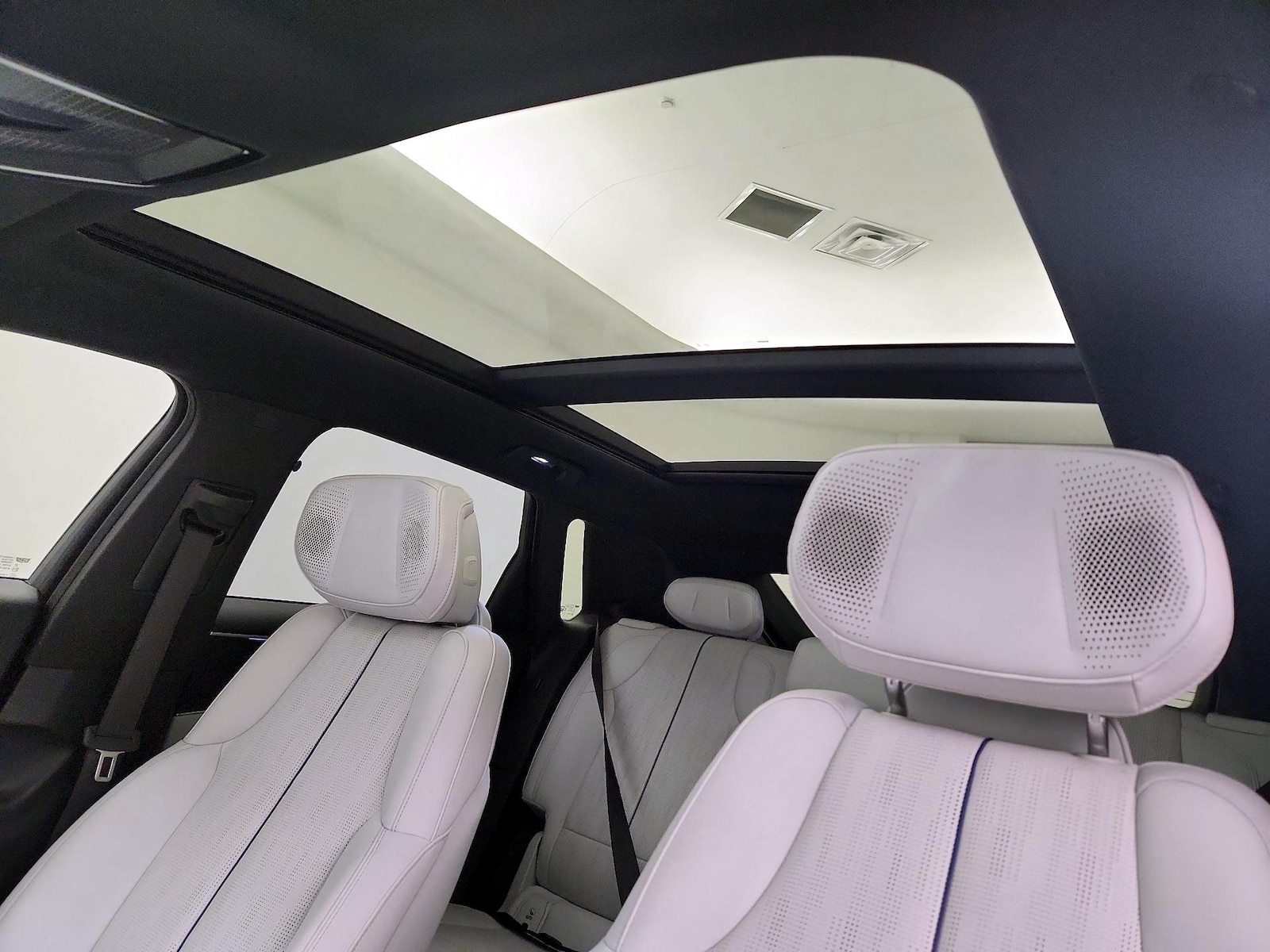 Panoramic Sunroof & Skylight(s)