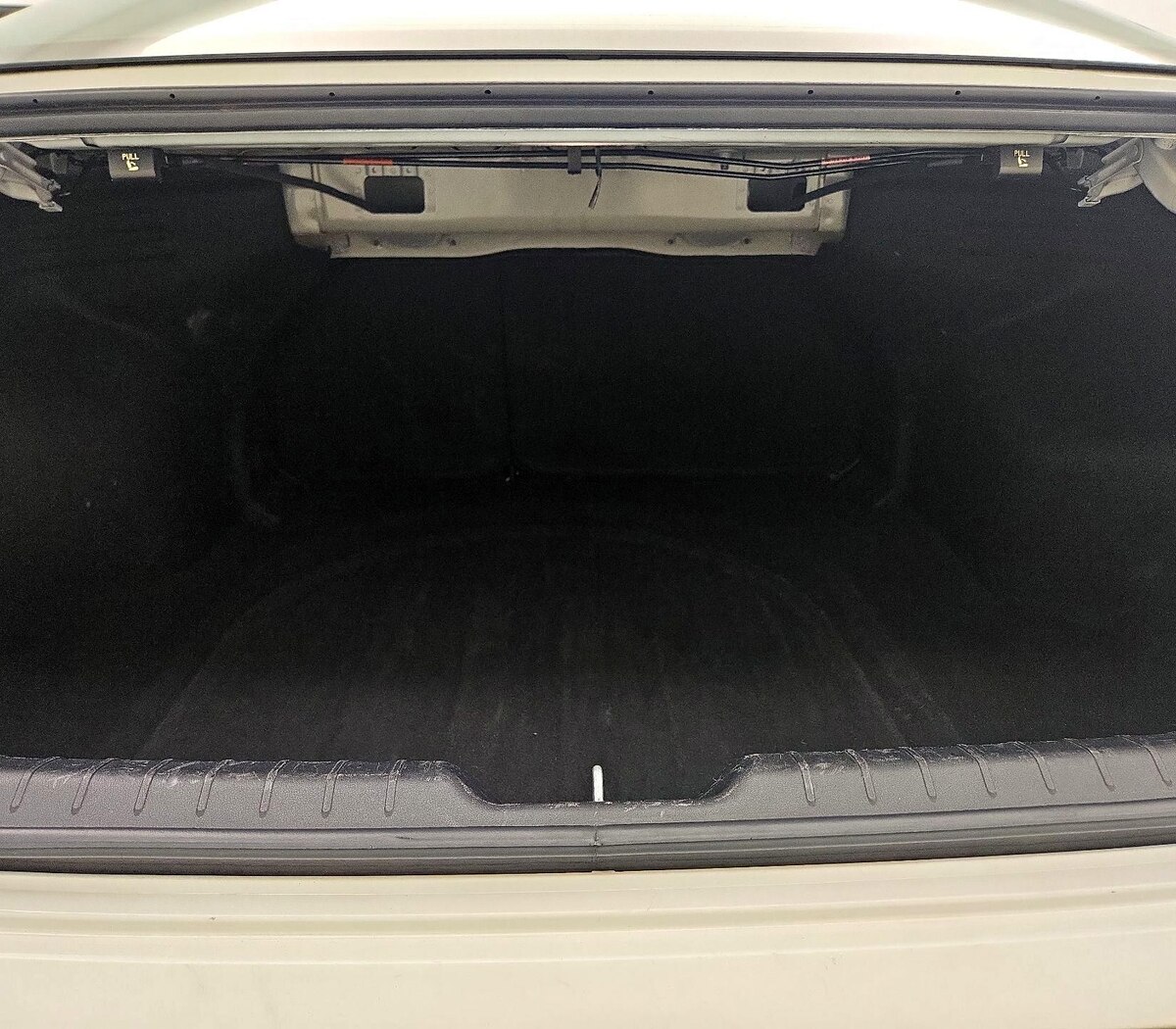 Trunk/Cargo (Seats Up)