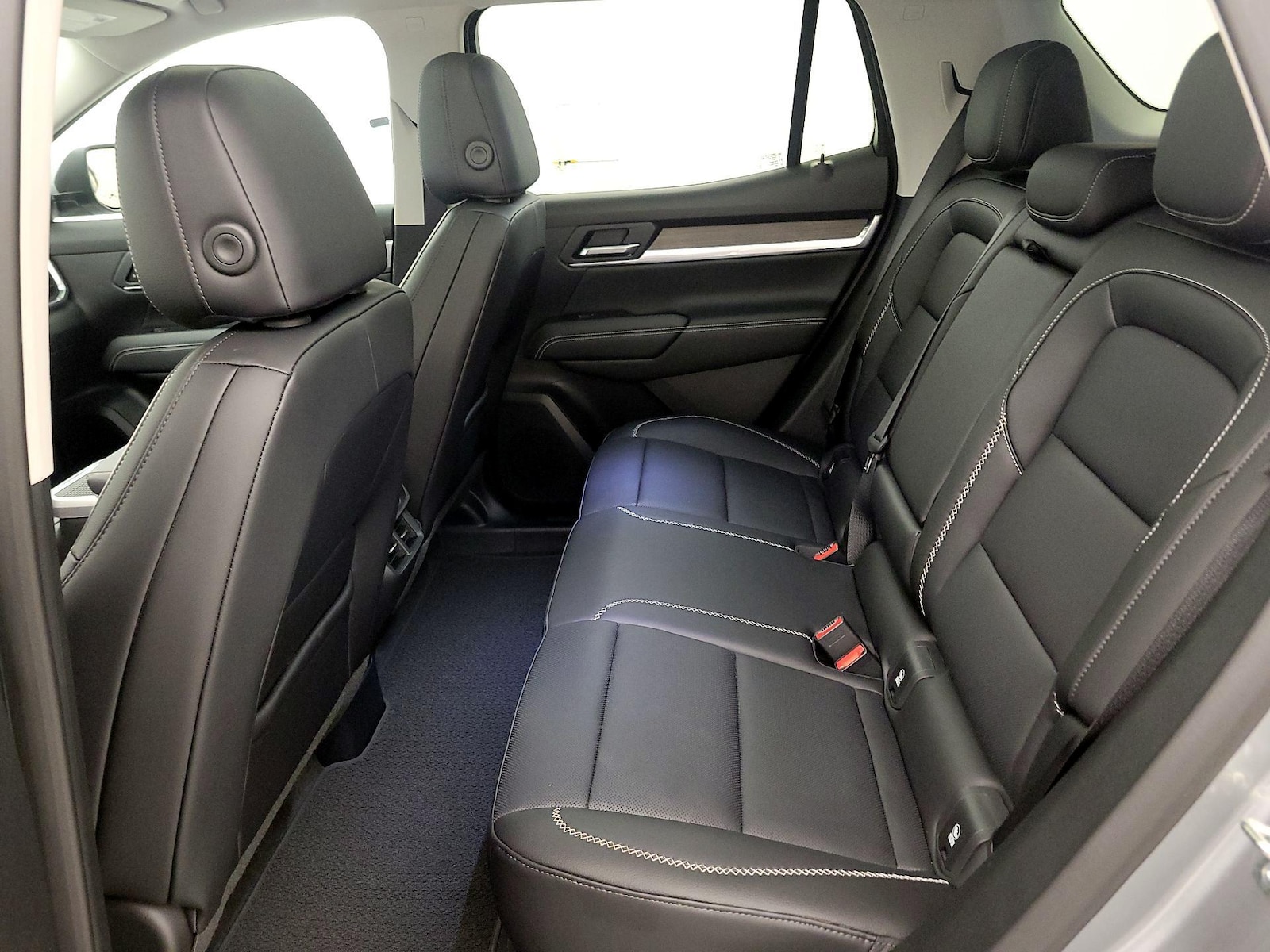 Rear Seat Heaters