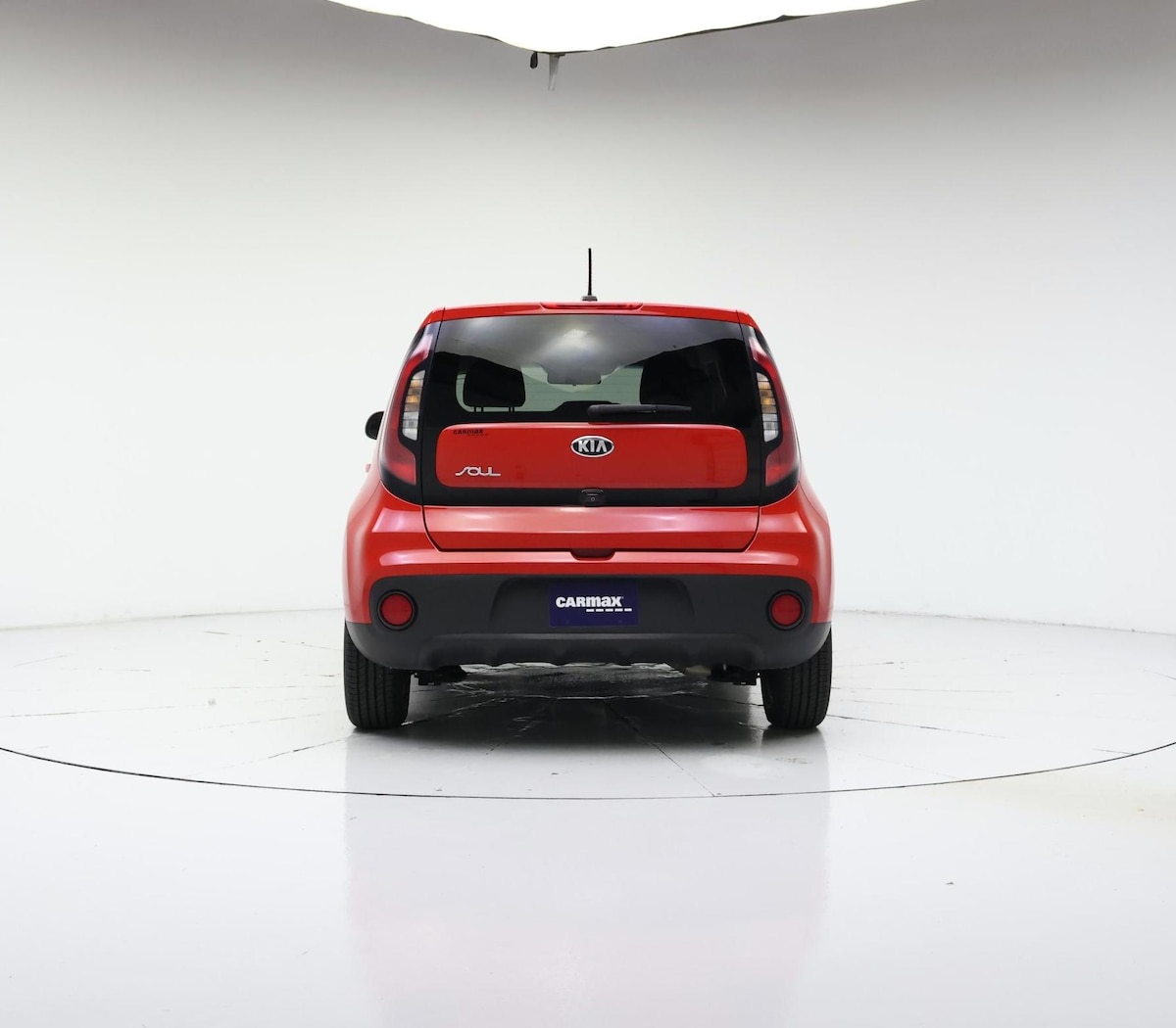Rear
