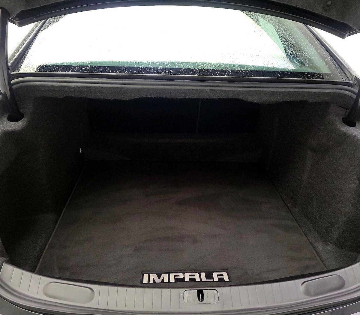 Trunk/Cargo (Seats Up)