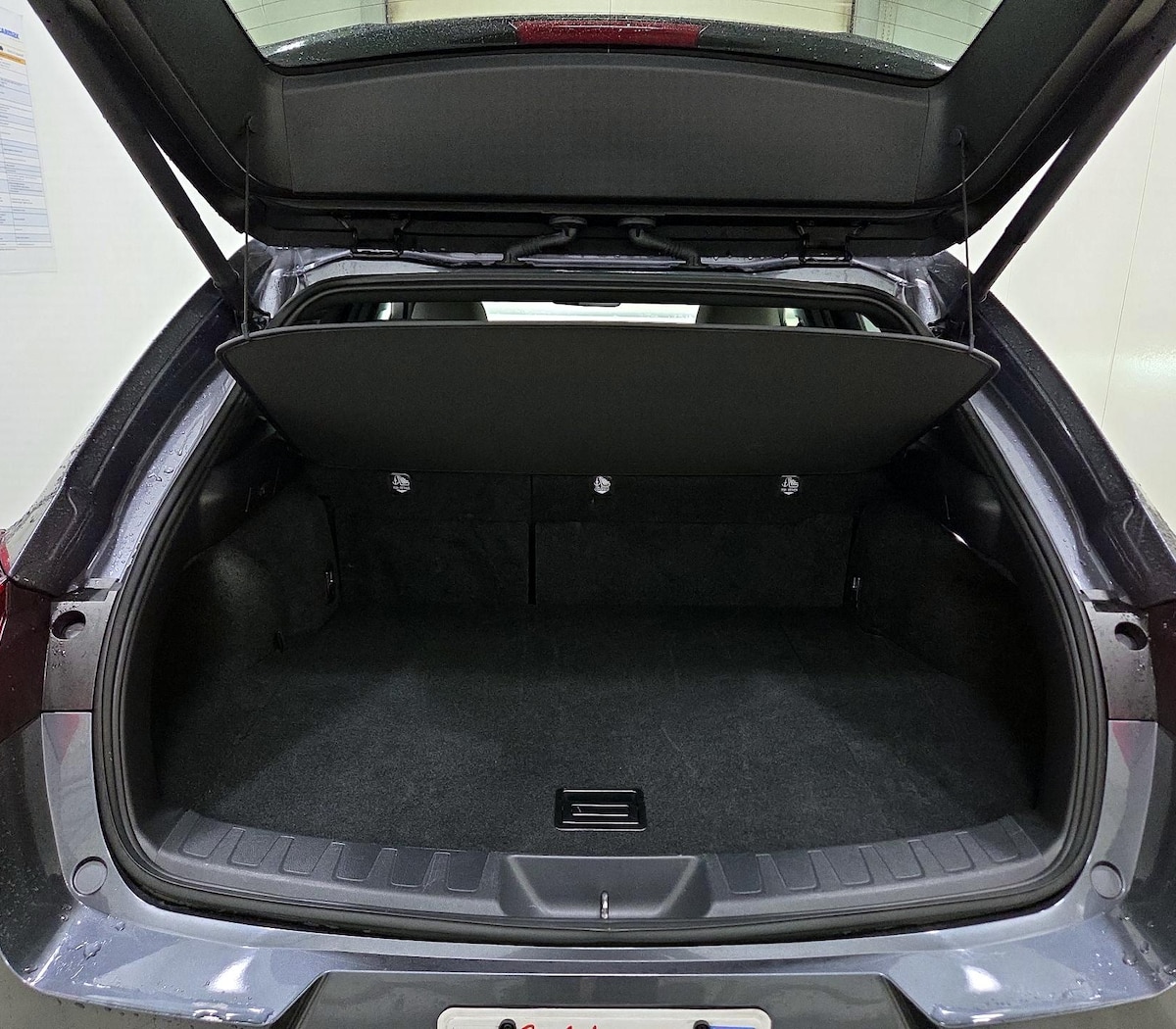 Trunk/Cargo (Seats Up)