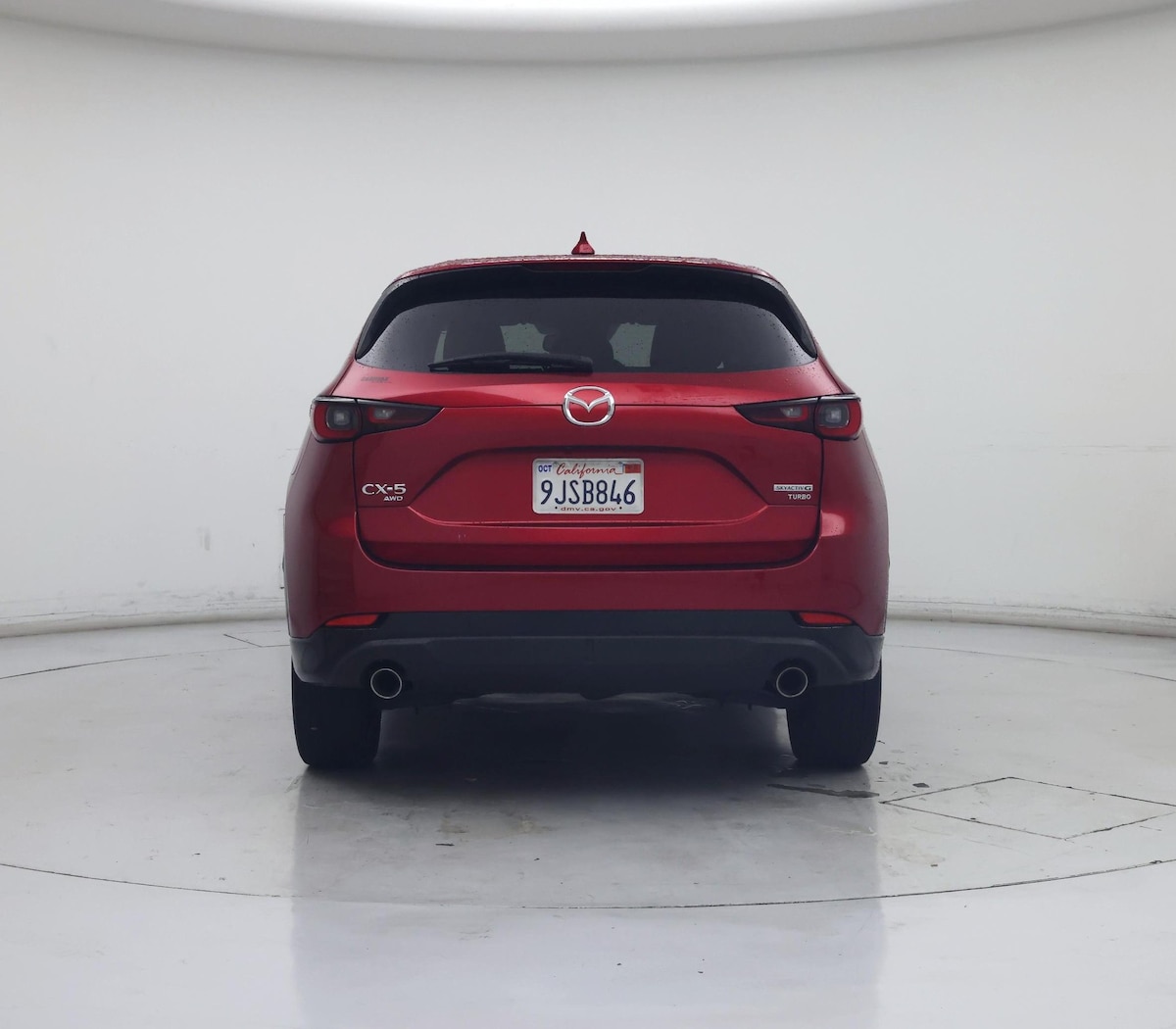 Rear