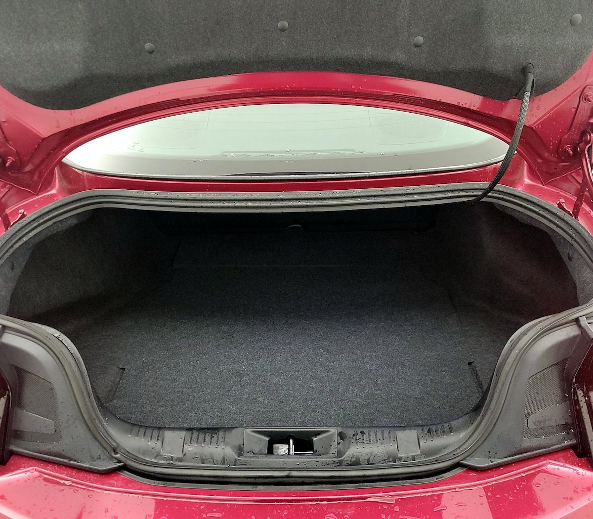 Trunk/Cargo (Seats Up)